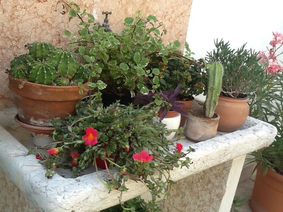 B&B Al Giardinetto Verona Ngoại thất bức ảnh